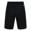 Picture of Le Sharq Dexter Short For Men's